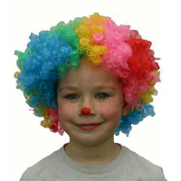 Clown verkleed pruik voor kinderen   gekleurd   Carnaval verkleed accessoires   clowns pruiken
