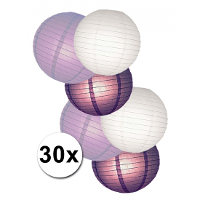 Lampion pakket wit en paars