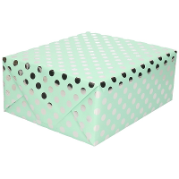 Luxe folie inpakpapier   cadeaupapier   mintgroen/zilveren stip   200 x 70 cm
