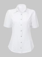 Short Sleeve White Chiffon Bottoming Career Blouse