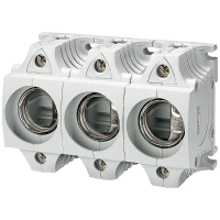 Siemens 5SF5068 Diazed zekeringsokkel Afmeting zekering: DII 25 A 500 V/AC 1 stuk(s)