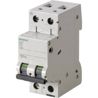 Siemens 5SL45106 5SL4510 6 Zekeringautomaat B/10 kA 2 polig 10 A 230 V