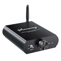 SIENWINY YS T100w Bluetooth Versterker 100W TWS Zinklegering Hi Fi Audio Ontvanger Draadloze Streaming 5.3 Frequentieber