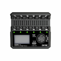 SKYRC NC2500 Pro DC 12V 3A AA/AAA NiMH/NiCD batterij multifunctionele oplader en analyzer