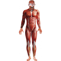 Smiffys Carnaval/Halloween verkleedkleding kostuum Anatomische man horror bodysuit   heren