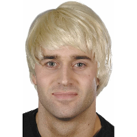 Carnaval Heren verkleedpruik Boyband   blond   kort haar   celeberties   Muzikant