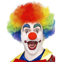 Carnaval verkleed Afropruik groot   regenboog kleuren   volwassenen   krullen   clown