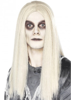 Carnaval verkleed horror Spook/zombie pruik   lang wit haar   voor volwassenen