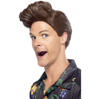 Carnaval verkleed pruik voor heren   Ace Ventura   met kenmerkende vetkuif   bruin