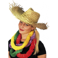 Hawaii of strandhoed   voor volwassenen   Stro hoeden / feesthoeden   verkleed hoedjes