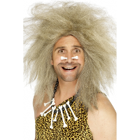 Holbewoner/zwerver verkleed pruik   blond   warrig haar