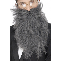 Verkleed baard en snor   grijs   lang model   professor/geleerde/wijze man
