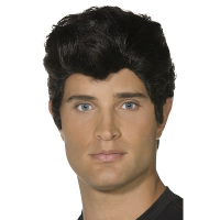 Verkleed pruik   Danny   Grease   zwart   heren   Jaren 50   Coole gast   Carnaval