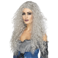 Verkleed pruik lang haar   grijs   voor dames   Heksen/Halloween thema pruiken