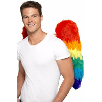 Vleugels   68 cm   regenboog   volwassenen   papagaai   pride/carnaval