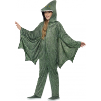 Winter huispakken dinosaurus voor kids