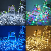 50M 24V Laagspanning Lichtsnaar 250 Lichten Transparante Draad Vakantie Lichtslinger Wit / Warm Wit / Blauw / Veelkleuri
