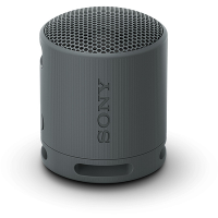 Sony SONY SRSXB100 Black