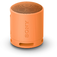 Sony SONY SRSXB100 Blauw