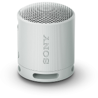 Sony SONY SRSXB100 Grijs
