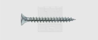 Spaanplaatschroeven 5 Mm 30 Mm Kruiskop Pozidriv Staal Verzinkt 50 Stuks Swg