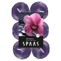 Geurtheelichtjes/waxinelichtjes   12x   Wild Orchid   4,5 branduren