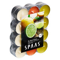 Geurtheelichtjes/waxinelichtjes   24x   Southern Citrus   4,5 branduren
