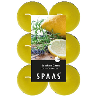 Maxi Geurtheelichtjes/waxinelichtjes   12x   Southern Citrus   10 branduren