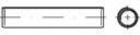 Spanstiften RVS TOOLCRAFT TO 5379120 1000 stuks