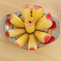 Stainless Steel Apple Corers Slicer Cutter Fruit Knife