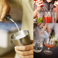 Stainless Steel Free Flow Wine Bottle Pour Spout Stopper