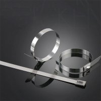 Suleve ZT10 100 Stuks 200 400mm Roestvrij Stalen Ritstrekker Zelfsluitende Kabelorganiserende Strips