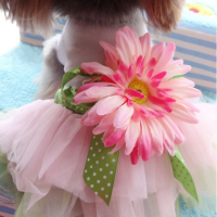 Summer Dog Dress Sunflower Skirt Puppy Dog Princess Lace Dress Skirt