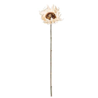 Sunflower spray   ivoorkleur   60 cm   Leen Bakker