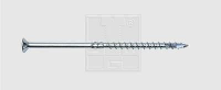 SWG 17602124010 Houtschroef 10 mm 240 mm T profiel Staal Verzinkt 10 stuk(s)