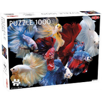 Tactic Puzzel Animals: Fighting Fish
