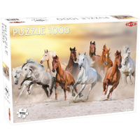 Tactic Puzzel Animals: Wild Horses