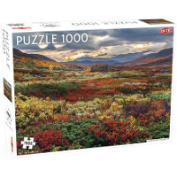 Tactic Puzzel Around the World, Northern Stars: Indian Summer in Norrbotten