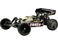 Team C TR02V2 1:10 Brushed RC auto Elektro Buggy Achterwielaandrijving RTR 2,4 GHz