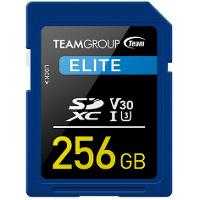 Team Group ELITE SDXC 256 GB UHS I U3, V30