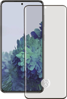 Teccus FSTGTSGS21U Screenprotector (glas) Samsung Galaxy S21 Ultra (5G) 2 stuk(s)