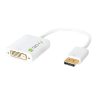 TECHly DisplayPort / DVI Adapter [1x DisplayPort stekker   1x DVI bus 24+1 polig] Wit