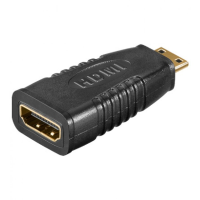 TECHly HDMI Adapter [1x HDMI stekker C mini   1x HDMI bus] Zwart