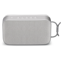 Tech BLUSPEAKER TWS XL gy