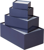 TEKO P/3.10 P/3.10 Universele behuizing 161 x 96 x 61 x 160 Kunststof Grijs, Blauw 1 stuk(s)
