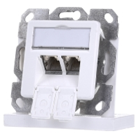 TelegÃ¤rtner J00020A0389 Netwerkdoos Inbouw Inzet met centraalstuk CAT 5e 2 poorten Alpine wit