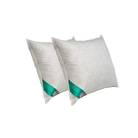 Ten Cate 100% Eendenveren Hoofdkussen   60x70   2 stuks