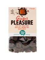 Terrasana Ginger Pleasure Choco Bio