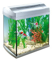 Tetra Aqua Art Aquarium Discovery Line 30 Ltr 35x35x25 Cm