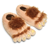Furry Adventure Pantoffels